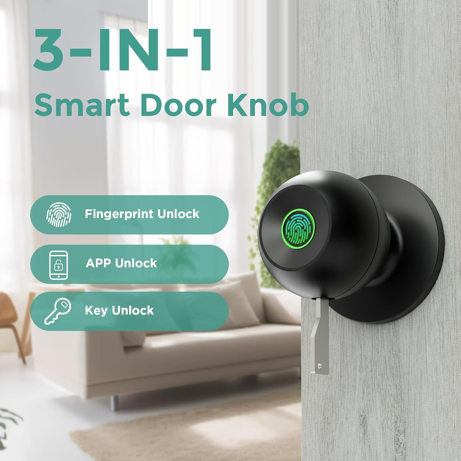 Smart Keyless Entry Door Lock